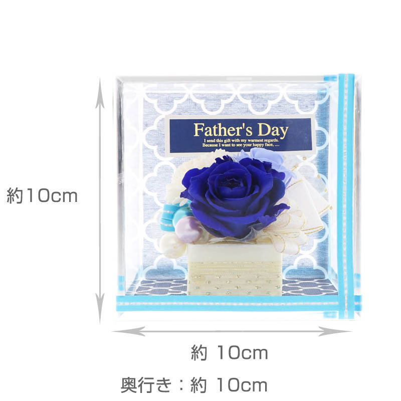 ����� ����� ñ�� �ץꥶ���֥ɥե� ���塼�� (��å�������������)