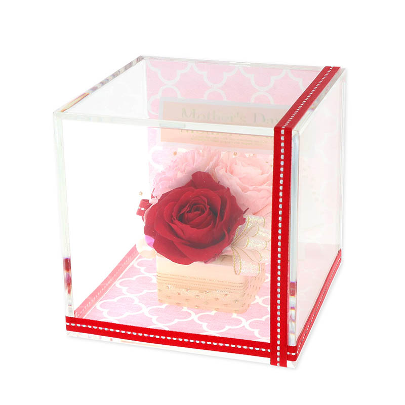 ����� ����� ñ�� �ץꥶ���֥ɥե� ���塼�� (��å�������������)