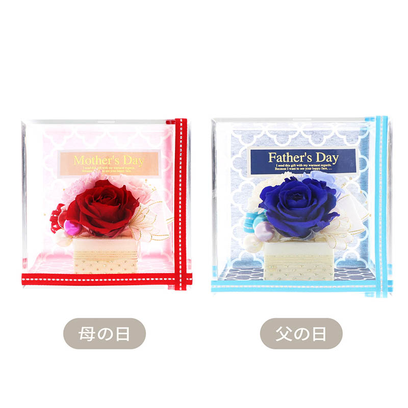 ����� ����� ñ�� �ץꥶ���֥ɥե� ���塼�� (��å�������������)