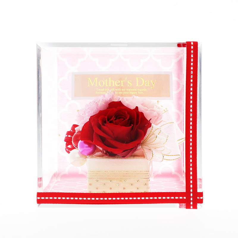 ����� ����� ñ�� �ץꥶ���֥ɥե� ���塼�� (��å�������������)