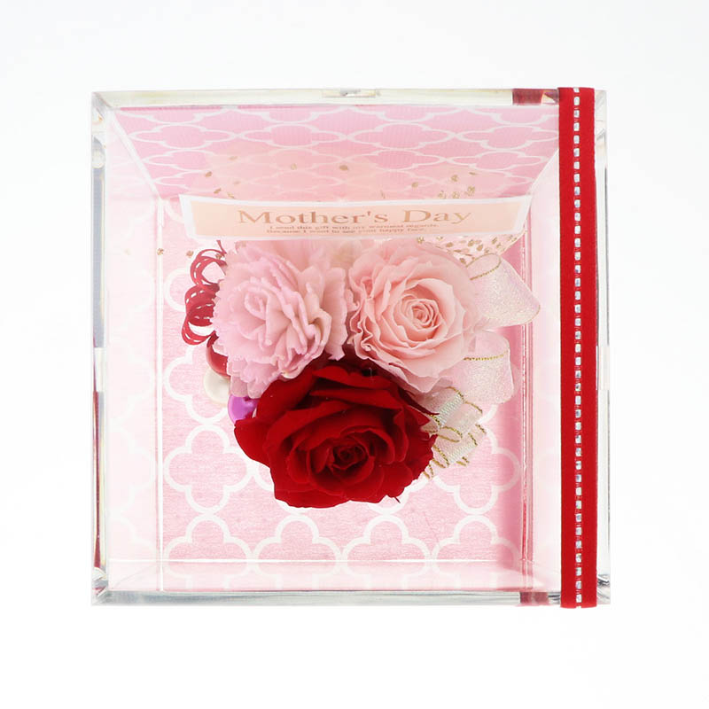 ����� ����� ñ�� �ץꥶ���֥ɥե� ���塼�� (��å�������������)