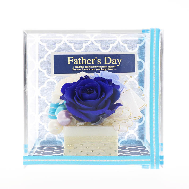 ����� ����� ñ�� �ץꥶ���֥ɥե� ���塼�� (��å�������������)