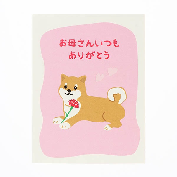 �����(Ω�� ���Ф���)