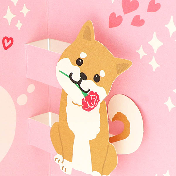 �����(Ω�� ���Ф���)