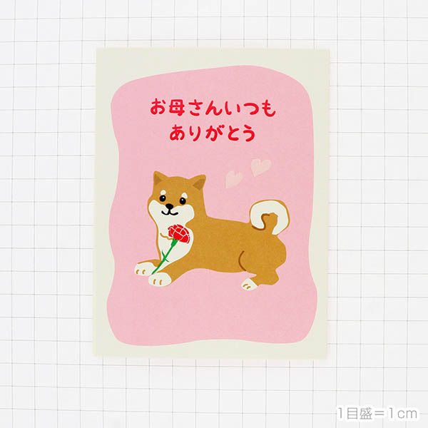 �����(Ω�� ���Ф���)