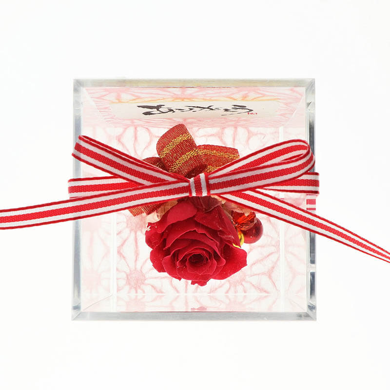 ǰ ץꥶ֥ɥե å ٤å