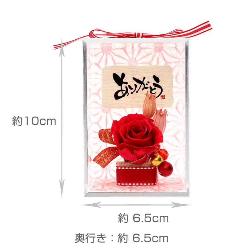 ǰ ץꥶ֥ɥե å ٤å