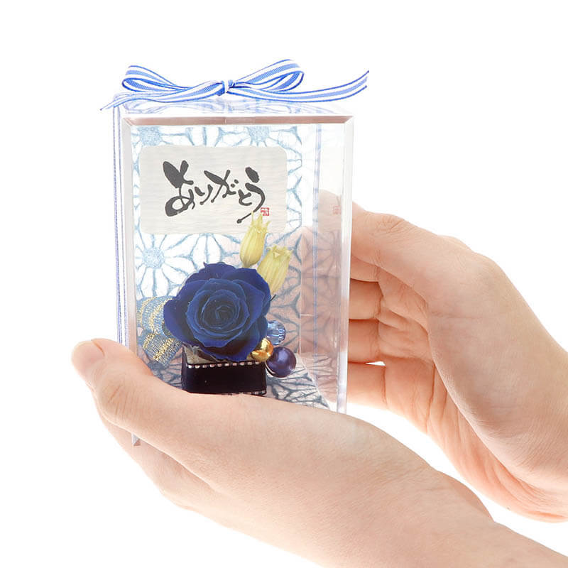 ǰ ץꥶ֥ɥե å ٤å