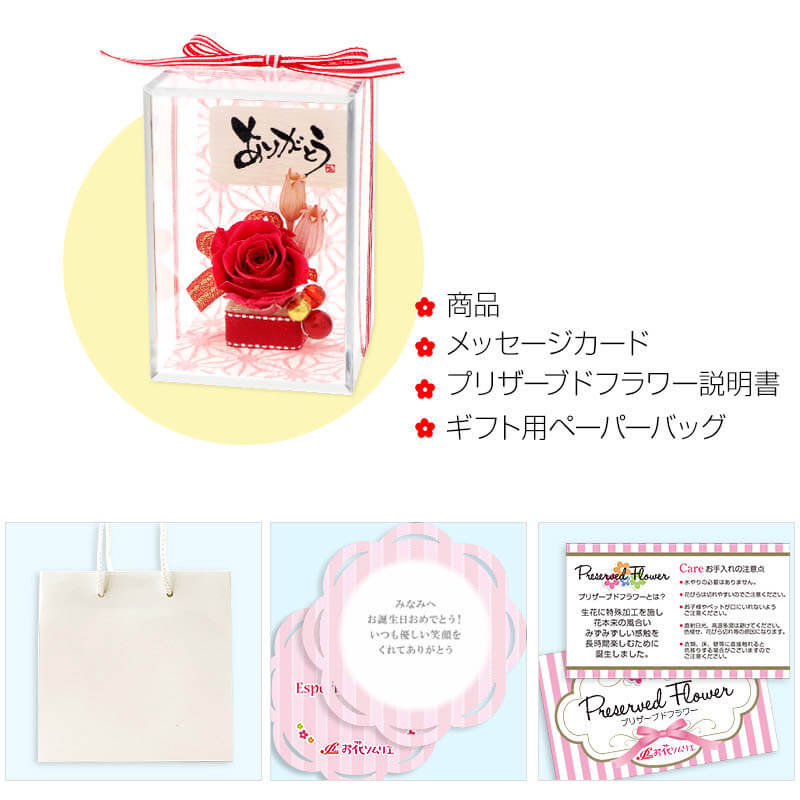 ǰ ץꥶ֥ɥե å ٤å