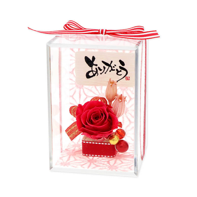 ǰ ץꥶ֥ɥե å ٤å