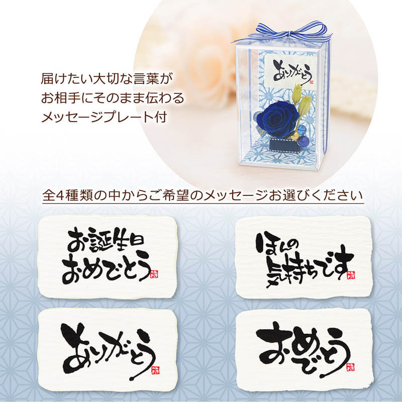 ǰ ץꥶ֥ɥե å ٤å