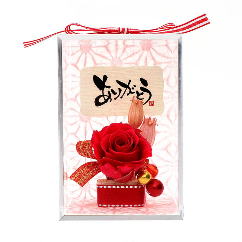 ǰ ץꥶ֥ɥե å ٤å