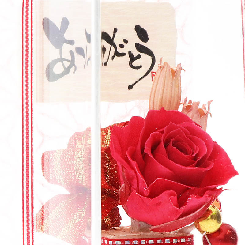 ǰ ץꥶ֥ɥե å ٤å