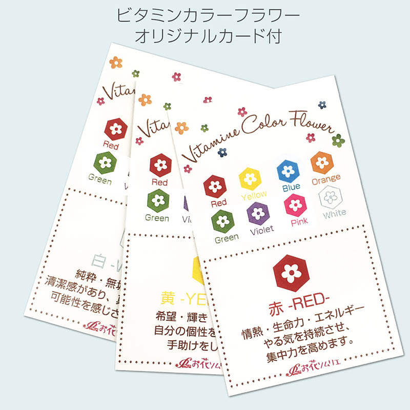 �ۥ磻�ȥǡ� ���˥����ϥ󥫥�&�ץꥶ���֥ɥե����å�(��åԥ��դ�)