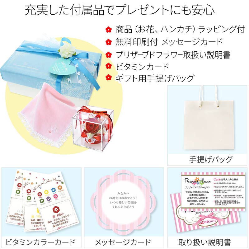 �ۥ磻�ȥǡ� ���˥����ϥ󥫥�&�ץꥶ���֥ɥե����å�(��åԥ��դ�)