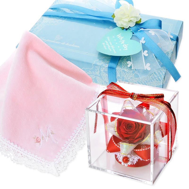 �ۥ磻�ȥǡ� ���˥����ϥ󥫥�&�ץꥶ���֥ɥե����å�(��åԥ��դ�)