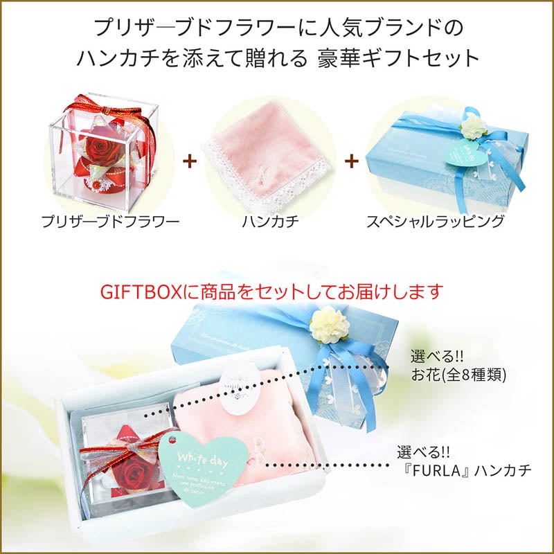 �ۥ磻�ȥǡ� ���˥����ϥ󥫥�&�ץꥶ���֥ɥե����å�(��åԥ��դ�)