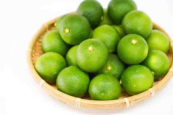 大分有機かぼす（4kg）【産直・別途送料】