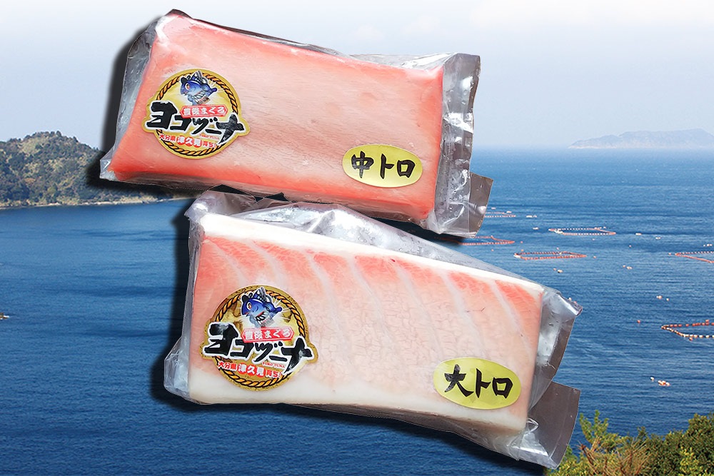 豊後まぐろヨコヅーナセット B 【産地直送・送料無料】