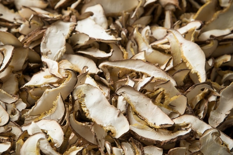 豊後大野のしいたけ