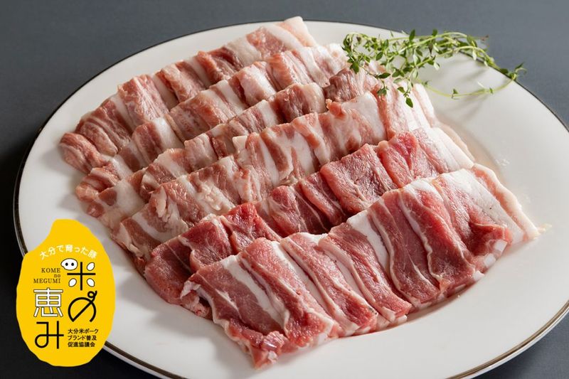 【産直冷凍・送料無料】米の恵み豚バラしゃぶ・焼肉セット（計800ｇ）