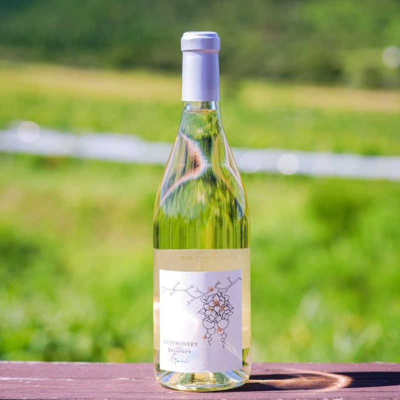 【久住ワイナリー】2024デラウェア　ジェミニ　白　（辛口）720ml