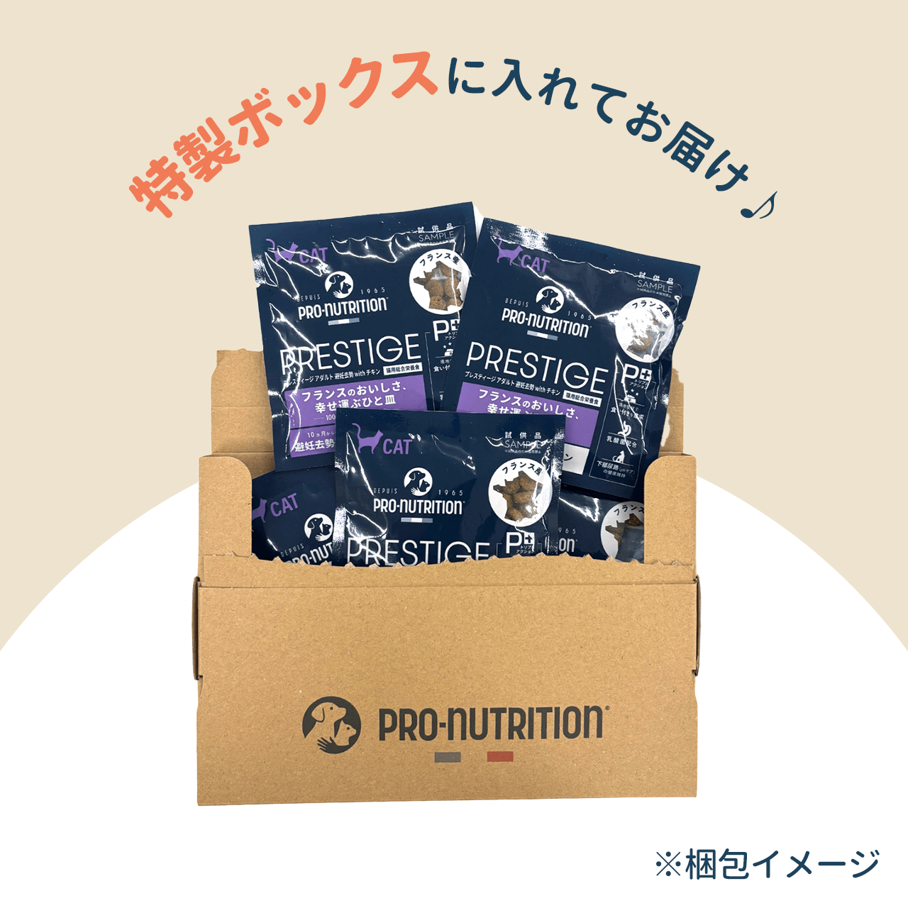 親株ラスト一本 フローレンシアエ 親株現物販売 送料無料】お試しセット プレスティージ シニア猫 避妊去勢