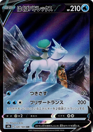 はくばバドレックスV CSR 220/184