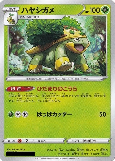 ハヤシガメ