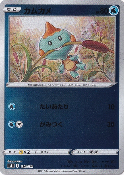 カムカメ （ホイル） 120/414