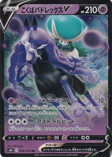 こくばバドレックスV RR 036/070