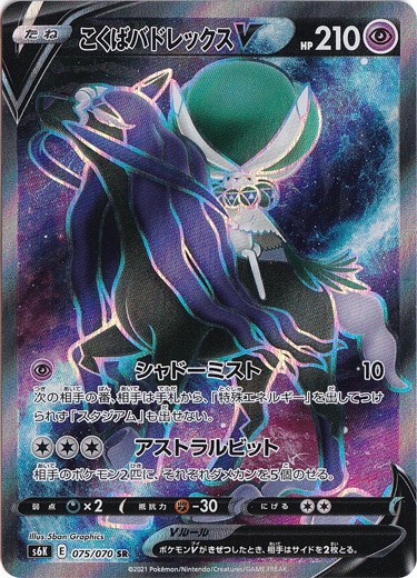 こくばバドレックスV SR 075/070