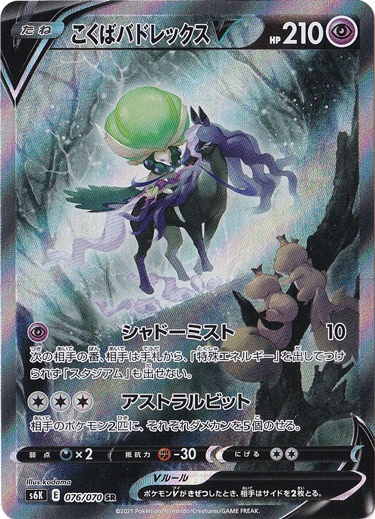 こくばバドレックスV SR 076/070