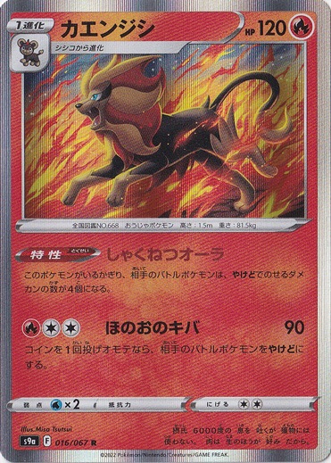 カエンジシ R 016/067