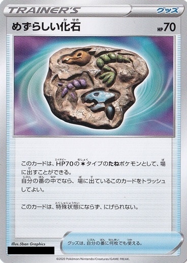 めずらしい化石