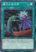 λ̾  SD43-JP029