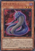 ֥åޥ ڥѡ 22PP-JP005
