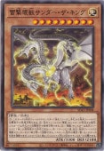 å  SD43-JP008