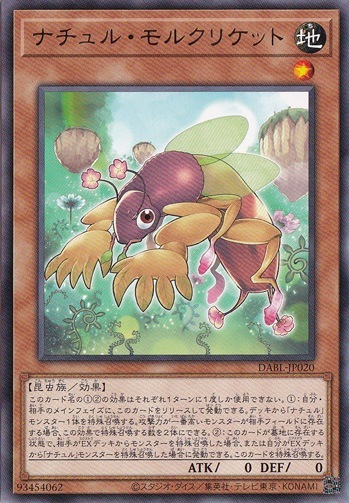 【プレイ用】　ナチュル・モルクリケット DABL-JP020
