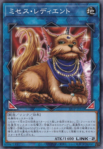 【プレイ用】　ミセス・レディエント  22TP-JP210