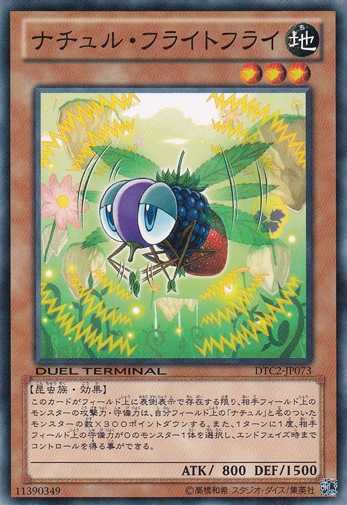 【プレイ用】　ナチュル・フライトフライ DTC2-JP073