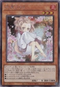光なき影ア=バオ・ア・クゥー「SUDA クオ25th」 toretsubo-y_y-063428