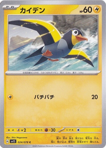 カイデン C 024/078