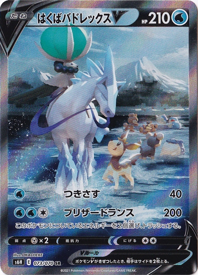 はくばバドレックスV SR 073/070