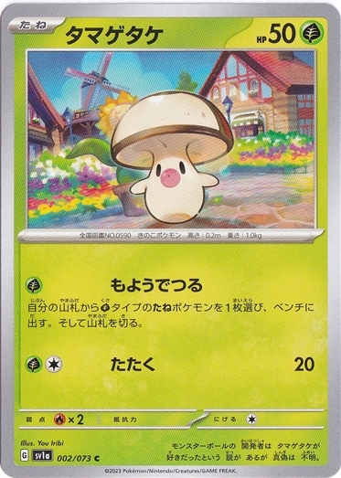 タマゲタケ C 002/073