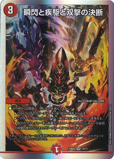 瞬閃と疾駆と双撃の決断 VR 14/17