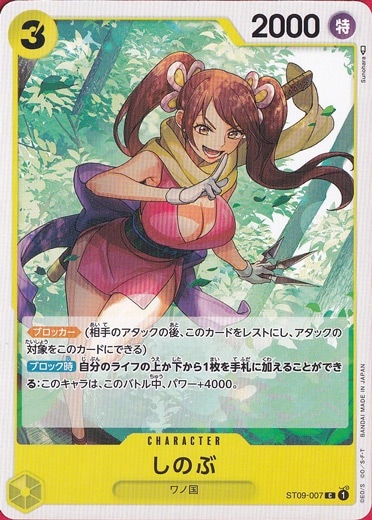 しのぶ C ST09-007