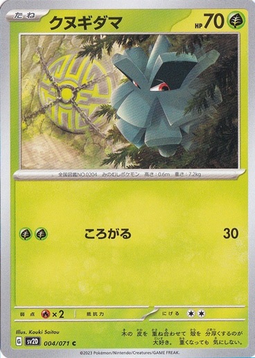 クヌギダマ C 004/071