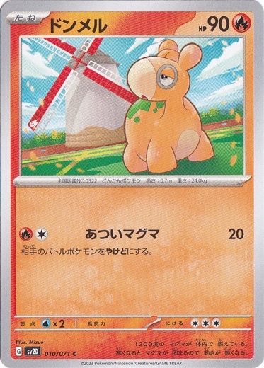 ドンメル C 010/071