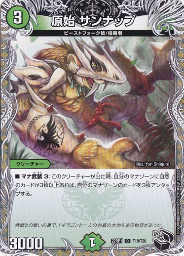 （傷あり）原始 サンナップ C T19/T20